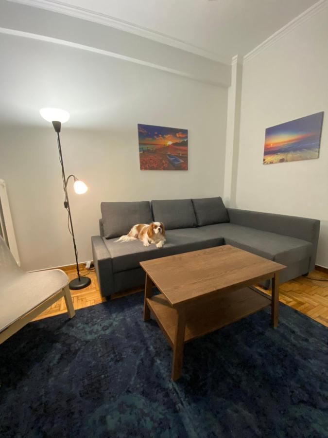 Traveller'S Choice Apartment เอเธนส์ ภายนอก รูปภาพ